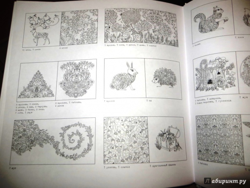 Иллюстрация 34 из 199 для Зачарованный лес. Книга для творчества и вдохновения - Джоанна Бэсфорд | Лабиринт - книги. Источник: Ko-ren