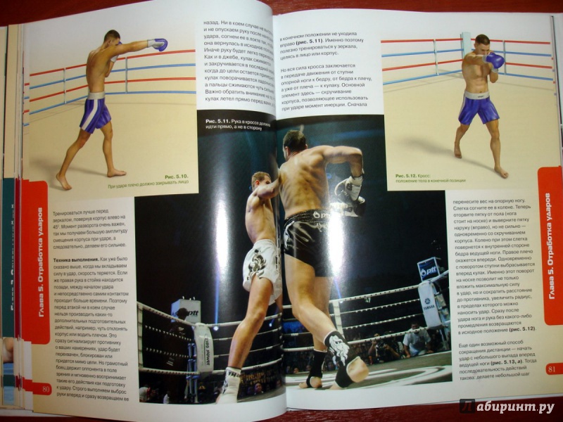 Иллюстрация 10 из 16 для Тайский бокс. Книга-тренер - Дмитрий Шегрикович | Лабиринт - книги. Источник: Kassavetes