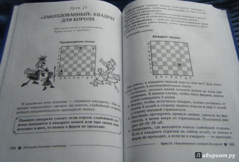 Иллюстрация 8 из 9 для Шахматы для юных чемпионов - Антонина Трофимова | Лабиринт - книги. Источник: Лабиринт