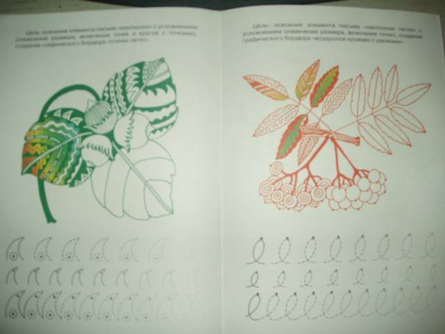 Иллюстрация 14 из 32 для Прописи с хвостиками - Ирина Лыкова | Лабиринт - книги. Источник: Витаминка