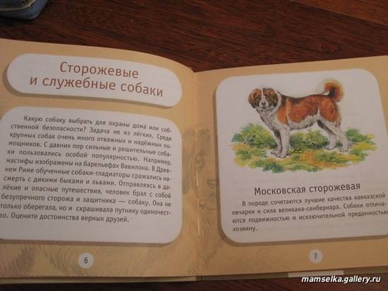 Иллюстрация 15 из 24 для Про собак и кошек - Александр Тихонов | Лабиринт - книги. Источник: mamselka