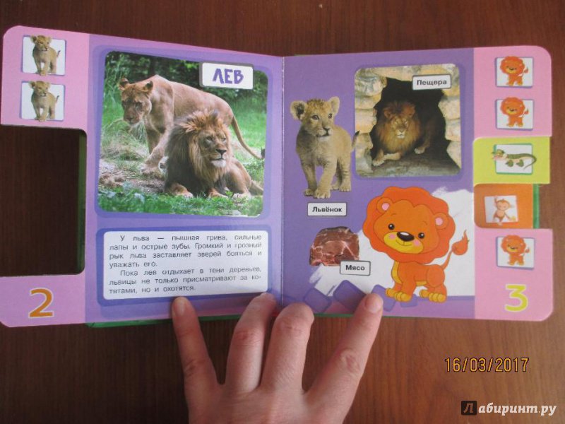 Иллюстрация 5 из 7 для Веселый зоопарк | Лабиринт - книги. Источник: Марина Епифанцева