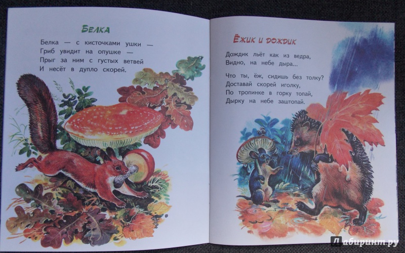 Иллюстрация 5 из 19 для Ёжик и дождик - Владимир Степанов | Лабиринт - книги. Источник: Sweet mama