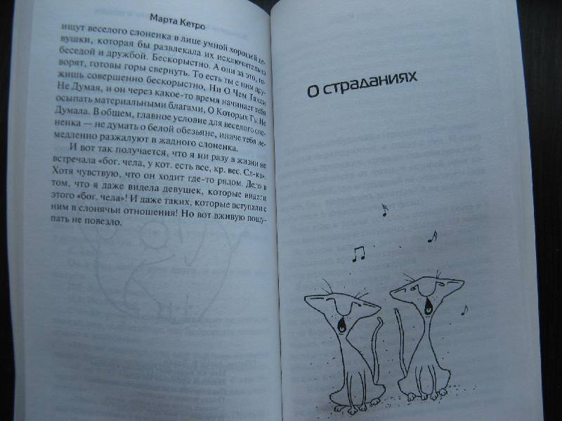 Иллюстрация 29 из 34 для Женщины и коты, мужчины и кошки - Марта Кетро | Лабиринт - книги. Источник: Ольга
