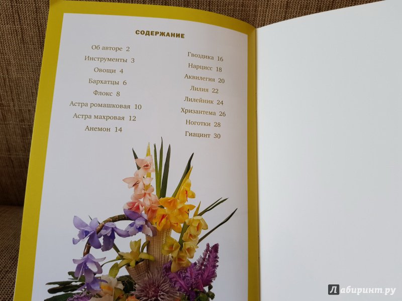 Иллюстрация 20 из 24 для Садовые цветы - Маргарита Кузнецова | Лабиринт - книги. Источник: Алексей Гапеев