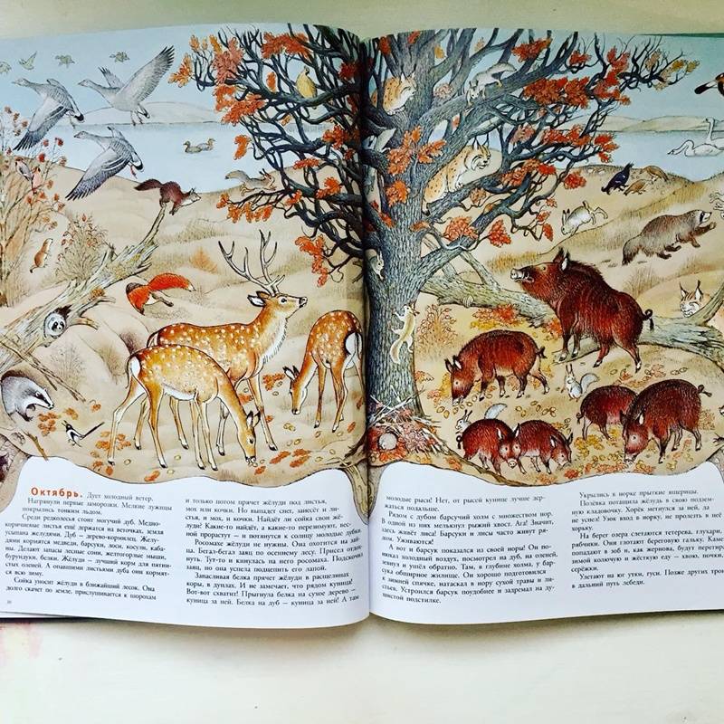 Иллюстрация 100 из 109 для В лесу - Петр Багин | Лабиринт - книги. Источник: Янцевич  Валерия