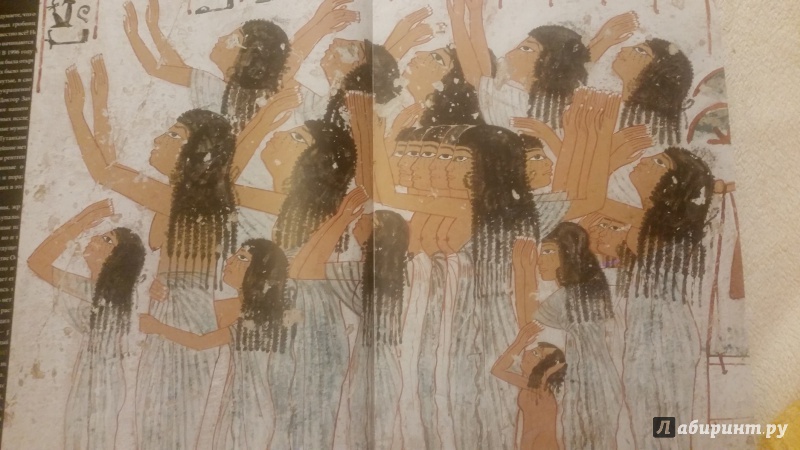 Иллюстрация 9 из 24 для Мумии фараонов. Бессмертие в Древнем Египте - Жано, Хавасс | Лабиринт - книги. Источник: Lana Ap.
