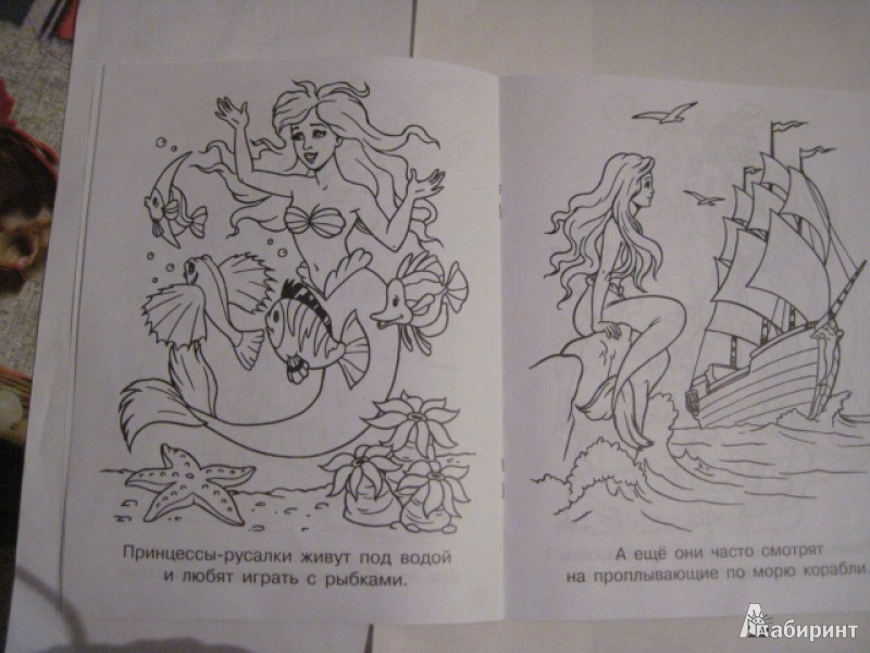 Иллюстрация 4 из 21 для Мечты принцесс. Голубая книжка. Раскраска | Лабиринт - книги. Источник: Ежова  Светлана