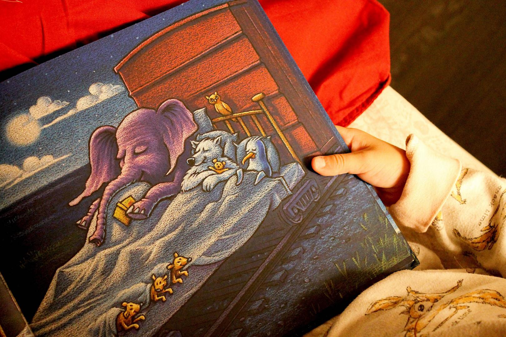 Иллюстрация 88 из 95 для Чудный поезд мчится в сон - Ринкер Даски | Лабиринт - книги. Источник: Fomina  Ksenia