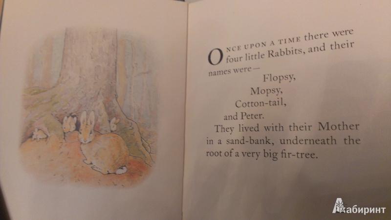 Иллюстрация 6 из 11 для The Tale of Peter Rabbit - Beatrix Potter | Лабиринт - книги. Источник: Морозова  Ольга Анатольевна