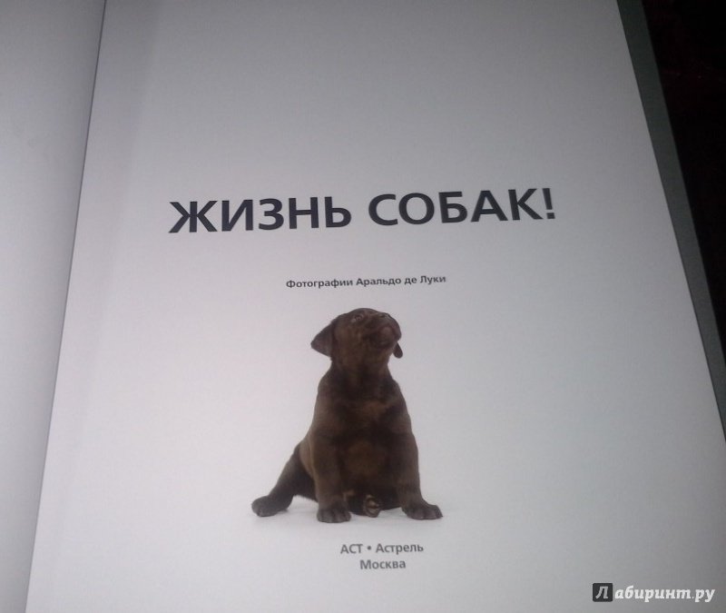 Иллюстрация 13 из 37 для Жизнь собак - Громис ди Трана Катерина | Лабиринт - книги. Источник: Космос