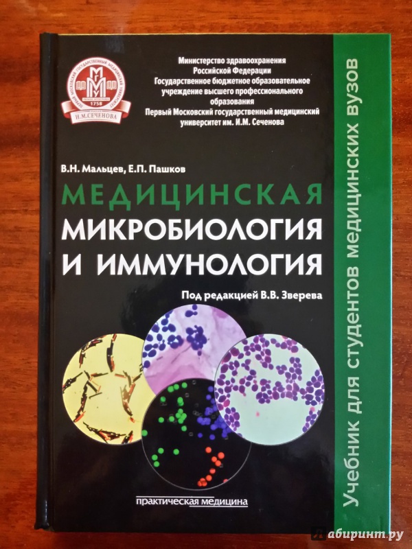 Иллюстрация 20 из 40 для Медицинская микробиология и иммунология. Учебник - Мальцев, Пашков | Лабиринт - книги. Источник: olegiv