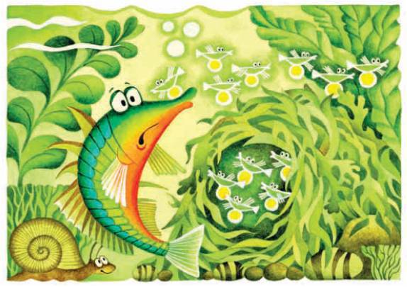 Иллюстрация 4 из 16 для Рыбьи страсти - Бианки, Катаев, Сахарнов, Александров | Лабиринт - книги. Источник: Любознательный