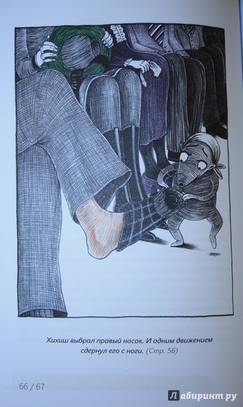 Иллюстрация 34 из 47 для Носкоеды - Павел Шрут | Лабиринт - книги. Источник: КНИЖНОЕ ДЕТСТВО