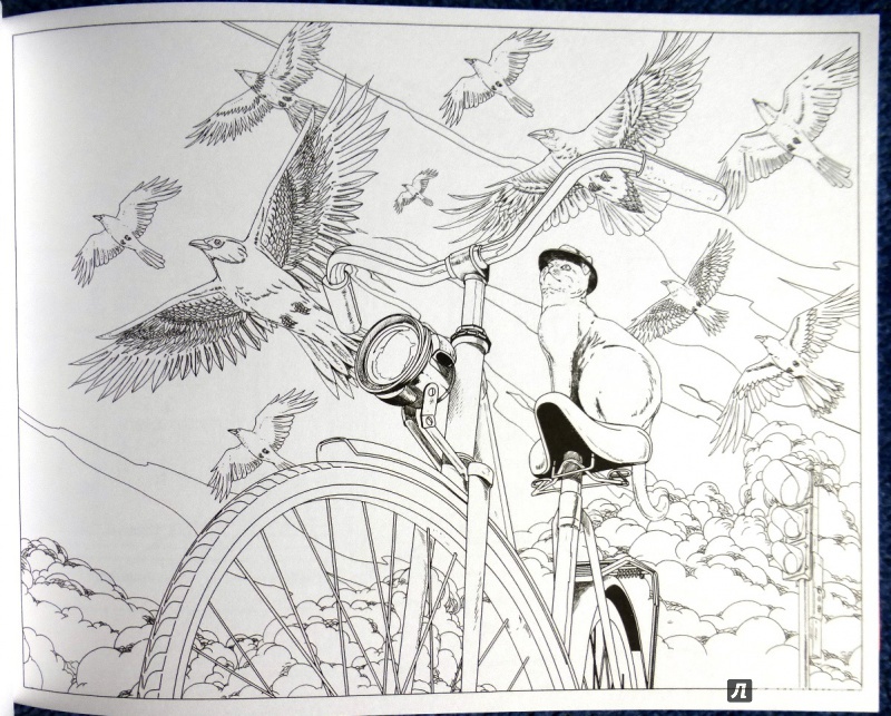 Иллюстрация 65 из 88 для Вокруг света на велосипеде. Раскраска-путешествие на край земли - Дзян Шань | Лабиринт - книги. Источник: reader*s