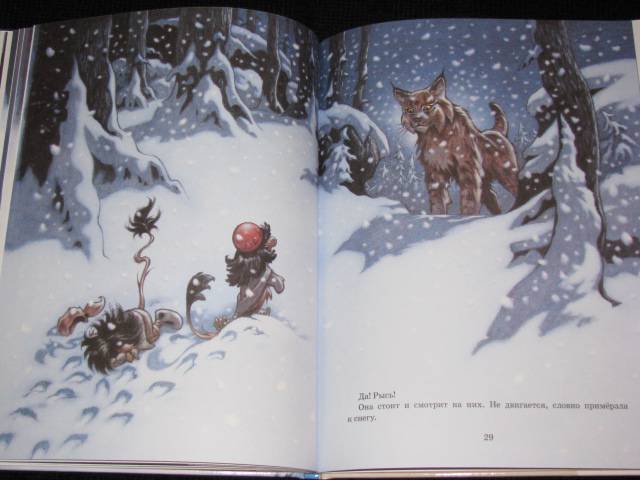 Иллюстрация 13 из 15 для Следы на снегу - Сиссель Бёэ | Лабиринт - книги. Источник: Nemertona