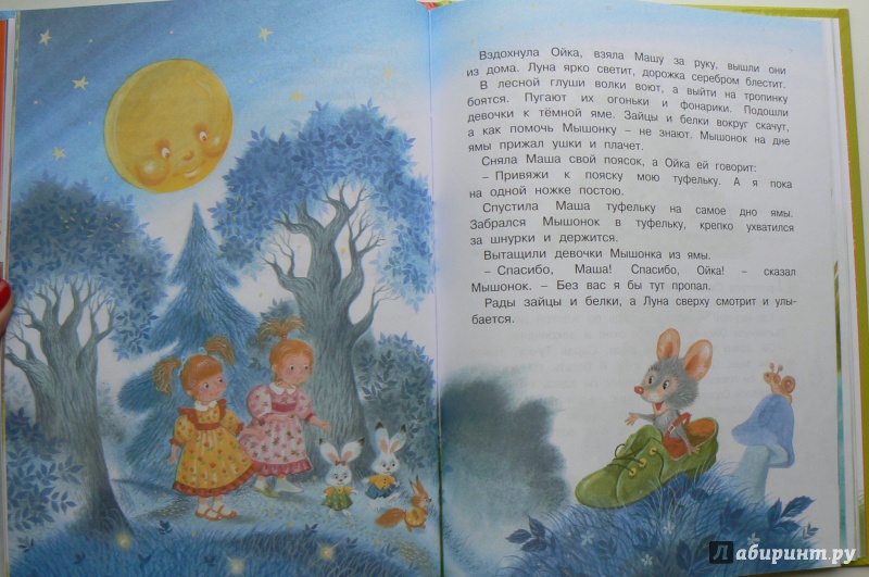 Иллюстрация 6 из 31 для Маша и Ойка - Софья Прокофьева | Лабиринт - книги. Источник: Марина