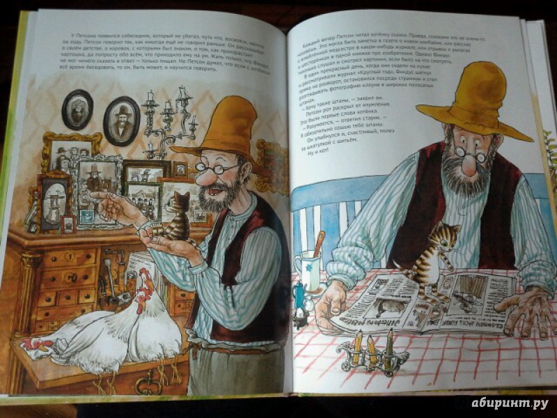 Иллюстрация 63 из 102 для История о том как Финдус потерялся, когда был маленьким - Свен Нурдквист | Лабиринт - книги. Источник: Юлия