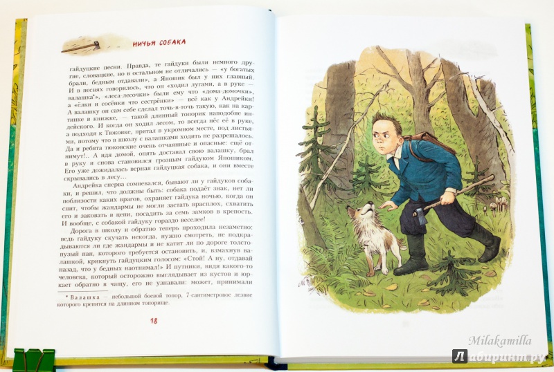 Иллюстрация 31 из 48 для Андрейка и лодырь Ромашка - Юрий Третьяков | Лабиринт - книги. Источник: Букландия