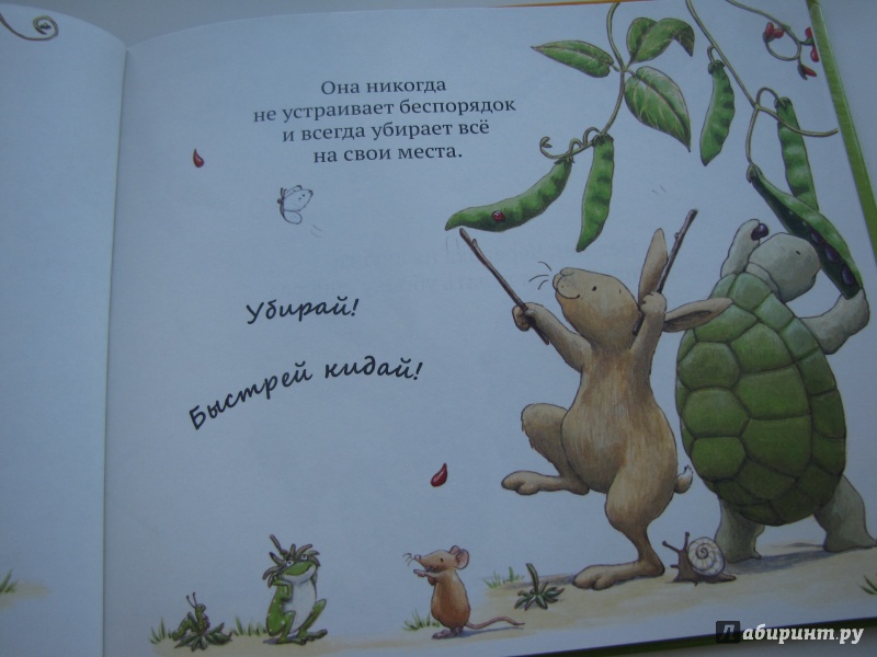Иллюстрация 21 из 35 для Как Заяц и Черепаха книжку читали - Лейн Марлоу | Лабиринт - книги. Источник: Silence