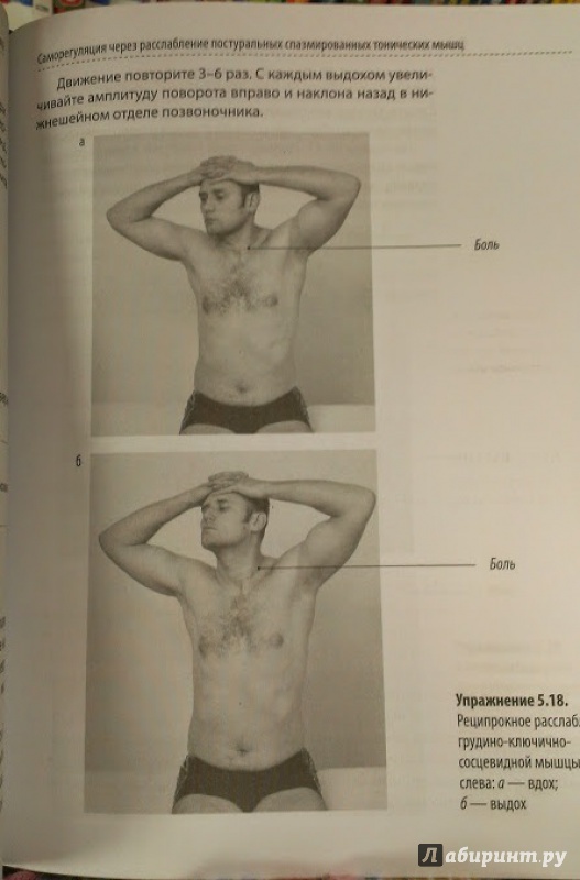 Иллюстрация 3 из 14 для Скульптурная гимнастика для мышц, суставов и внутренних органов - Анатолий Ситель | Лабиринт - книги. Источник: Annexiss