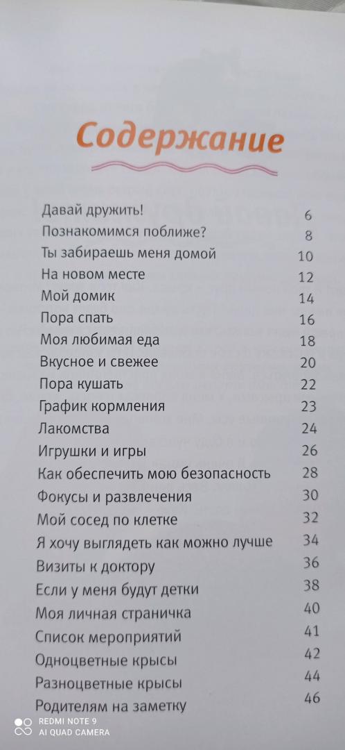 Иллюстрация 5 из 15 для Давай дружить! Крыска - Джилл Пейдж | Лабиринт - книги. Источник: Василькова Алина