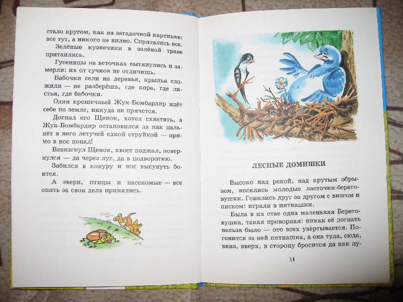 Иллюстрация 5 из 8 для Лесные домишки - Виталий Бианки | Лабиринт - книги. Источник: Рыженький