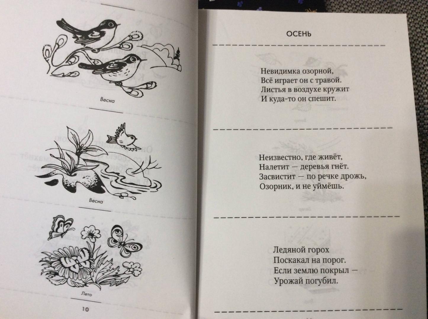 Иллюстрация 10 из 12 для Загадки и отгадки в картинках на все лексические темы - Гурия Османова | Лабиринт - книги. Источник: Renelena