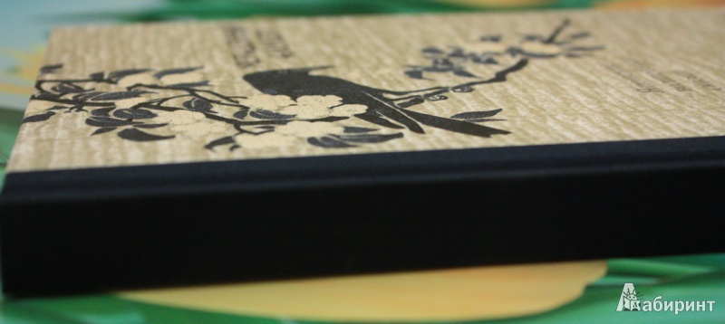 Иллюстрация 3 из 9 для Украденный амулет. Японские волшебные сказки | Лабиринт - книги. Источник: Anna  Zelenaya