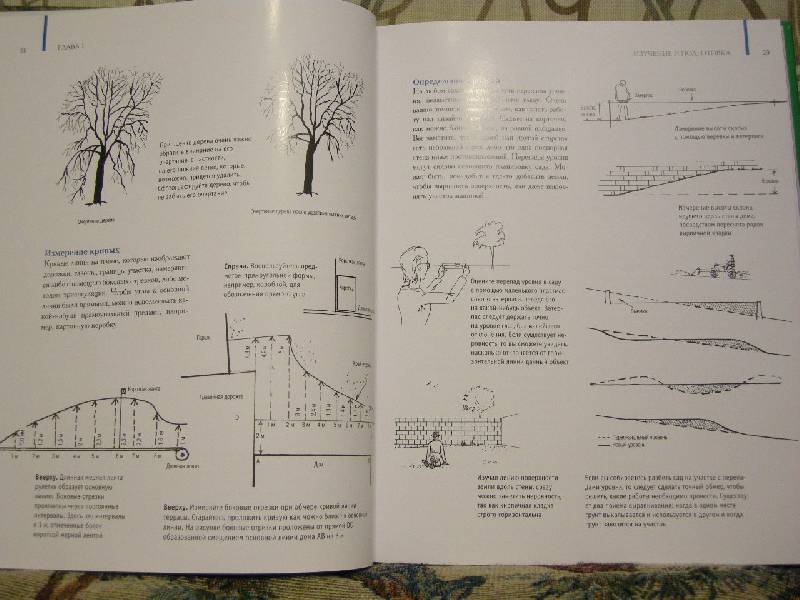 Иллюстрация 4 из 25 для Настольная книга садового дизайнера - Александер Розмари | Лабиринт - книги. Источник: Chedi