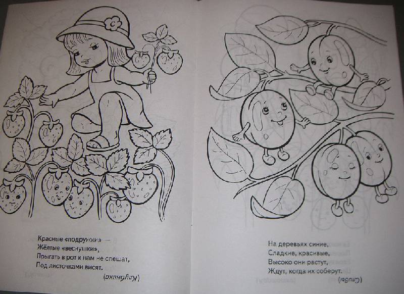 Иллюстрация 17 из 17 для "Во саду ли в огороде..." в стихах. Книжка-раскраска - Анна Баранюк | Лабиринт - книги. Источник: Iwolga