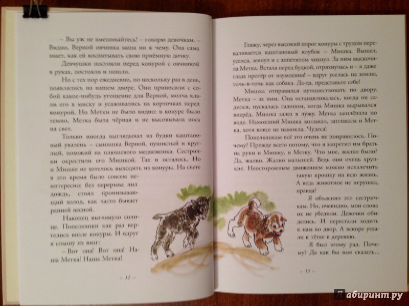 Иллюстрация 21 из 43 для Муха с капризами - Ян Грабовский | Лабиринт - книги. Источник: Псевдоним