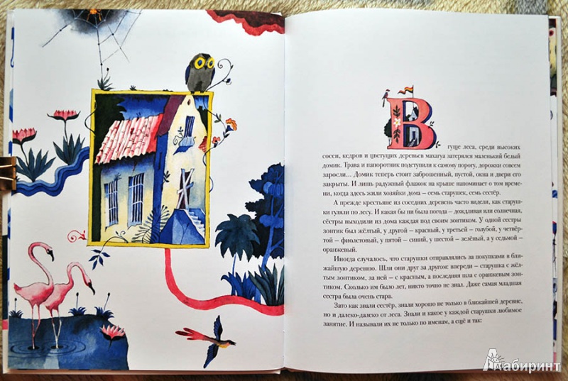 Иллюстрация 7 из 31 для Старушки с зонтиками - Лопес Кофиньо | Лабиринт - книги. Источник: Раскова  Юлия