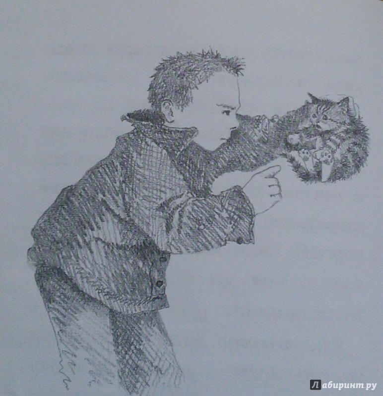 Иллюстрация 51 из 81 для Котёнок Пушинка, или Рождественское чудо - Холли Вебб | Лабиринт - книги. Источник: Лабиринт