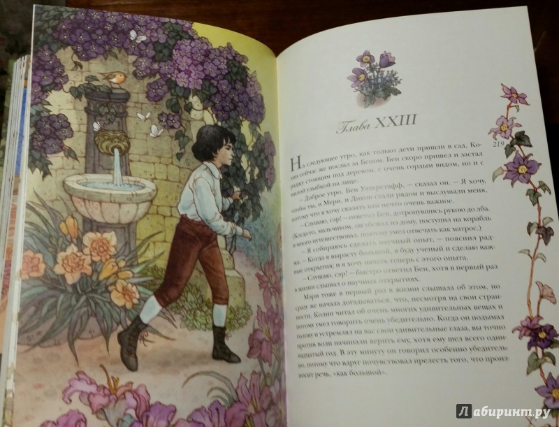 Иллюстрация 39 из 64 для Таинственный сад - Фрэнсис Бёрнетт | Лабиринт - книги. Источник: Чернец Наталья