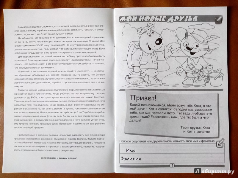 Иллюстрация 15 из 21 для Пропись для детского сада. Развиваем графические навыки и логику | Лабиринт - книги. Источник: Луганская  Aнна
