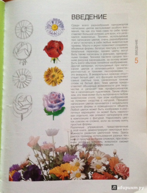 Иллюстрация 3 из 17 для Рисуем цветы. Экспресс - курс - Myriam Ferron | Лабиринт - книги. Источник: galka_vs