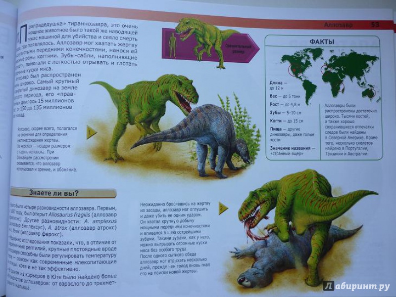 Иллюстрация 7 из 25 для Динозавры: монстры доисторической эпохи - Вероника Росс | Лабиринт - книги. Источник: Красавишна3