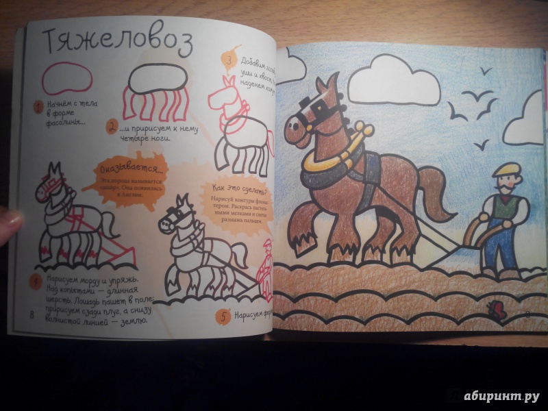 Иллюстрация 17 из 18 для Как нарисовать лошадку и пони - Марк Берджин | Лабиринт - книги. Источник: Александра Джейлани