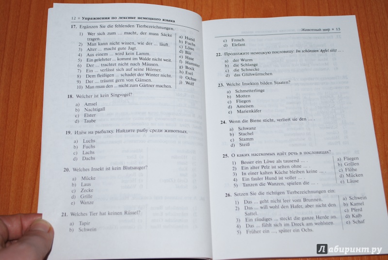 Иллюстрация 6 из 7 для Упражнения по лексике немецкого языка - Юлия Гроше | Лабиринт - книги. Источник: Нади