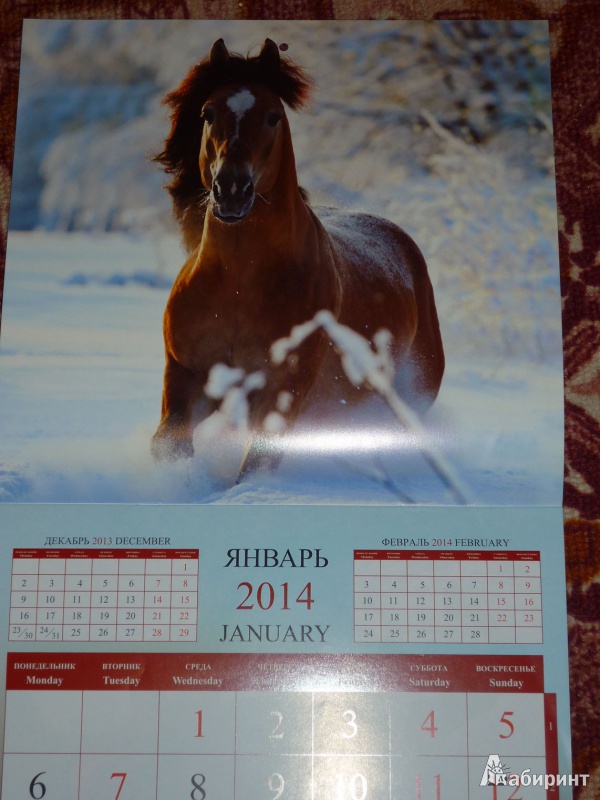 Иллюстрация 4 из 16 для Календарь 2014 "Год лошади" | Лабиринт - сувениры. Источник: Шубина  Диана Владимировна