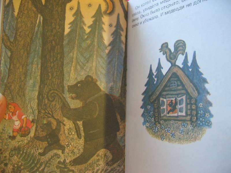 Иллюстрация 9 из 21 для Лиса и заяц | Лабиринт - книги. Источник: Синявина Ольга Анатольевна