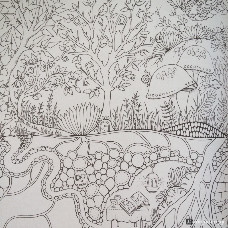 Иллюстрация 46 из 68 для Зачарованный лес - Джоанна Бэсфорд | Лабиринт - книги. Источник: Мещерякова  Ольга Юрьевна