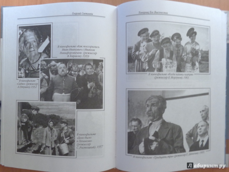 Иллюстрация 21 из 41 для Товарищ его Высочества - Светлани, Капков | Лабиринт - книги. Источник: Romanowa