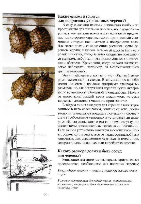Иллюстрация 11 из 16 для Красноухие черепахи. Содержание и уход - Райнер Прашага | Лабиринт - книги. Источник: Юта