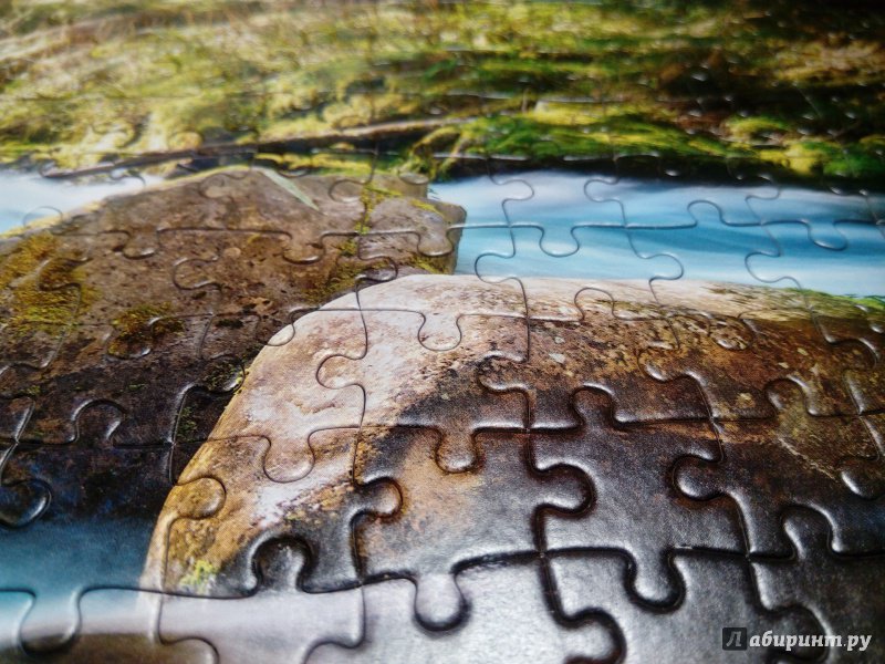 Иллюстрация 4 из 13 для Puzzle-500 "Свет в лесу" (B-52875) | Лабиринт - игрушки. Источник: Чагина  Юлия Анатольевна