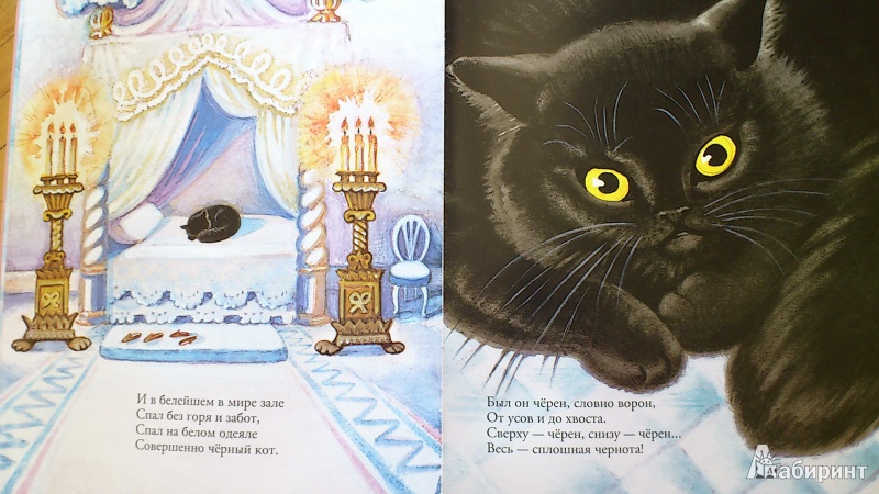 Иллюстрация 5 из 22 для Белый дом и черный кот | Лабиринт - книги. Источник: vin