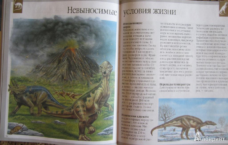 Иллюстрация 26 из 28 для Динозавры и другие исчезнувшие животные - Лора Камбурнак | Лабиринт - книги. Источник: ver-ira