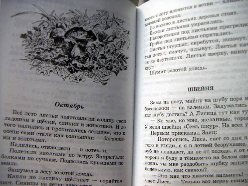 Иллюстрация 42 из 46 для Лесные тайнички - Николай Сладков | Лабиринт - книги. Источник: Алонсо Кихано