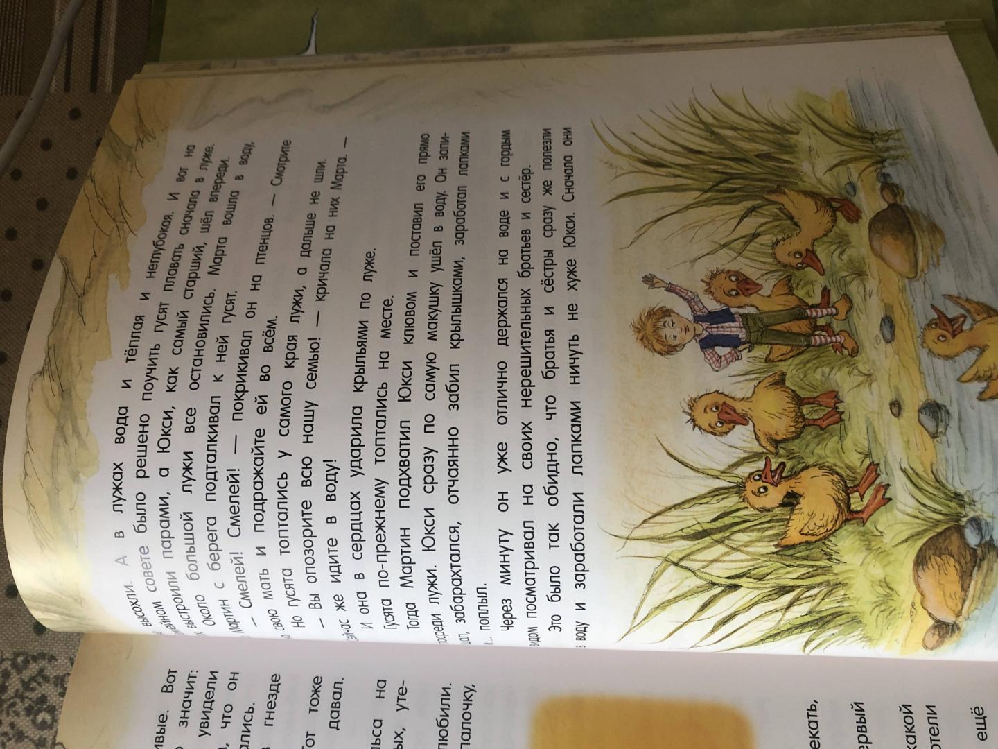 Иллюстрация 41 из 41 для Чудесное путешествие Нильса с дикими гусями - Сельма Лагерлеф | Лабиринт - книги. Источник: marusya_b84